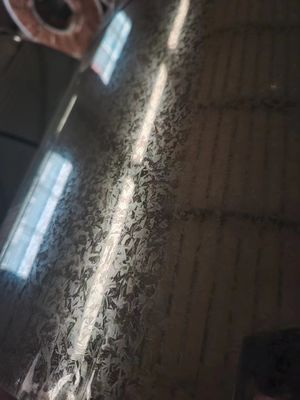 EVANGEL لفائف الفولاذ المغلف 600mm-1250mm العرض للأجهزة المنزلية